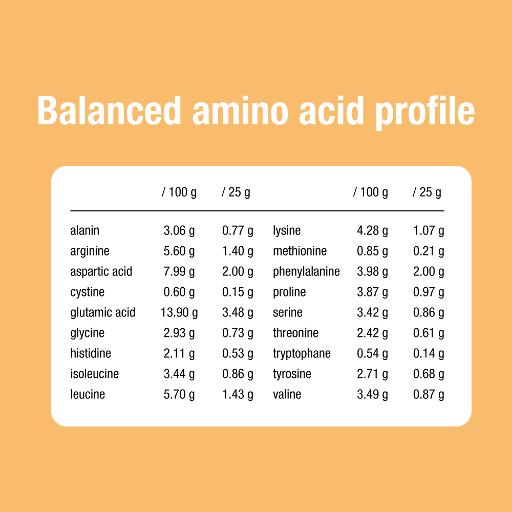 Vegan protein 75% soy cacao 400 g BIO