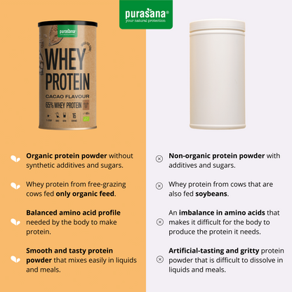 Whey protein 65% cacao 400 g BIO