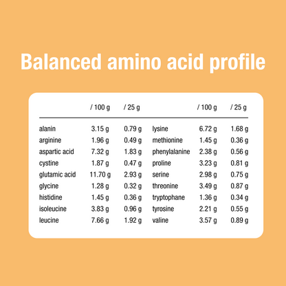 Whey protein 65% cacao 400 g BIO