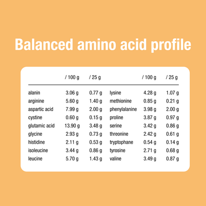 Vegan protein 75% soy cacao 400 g BIO